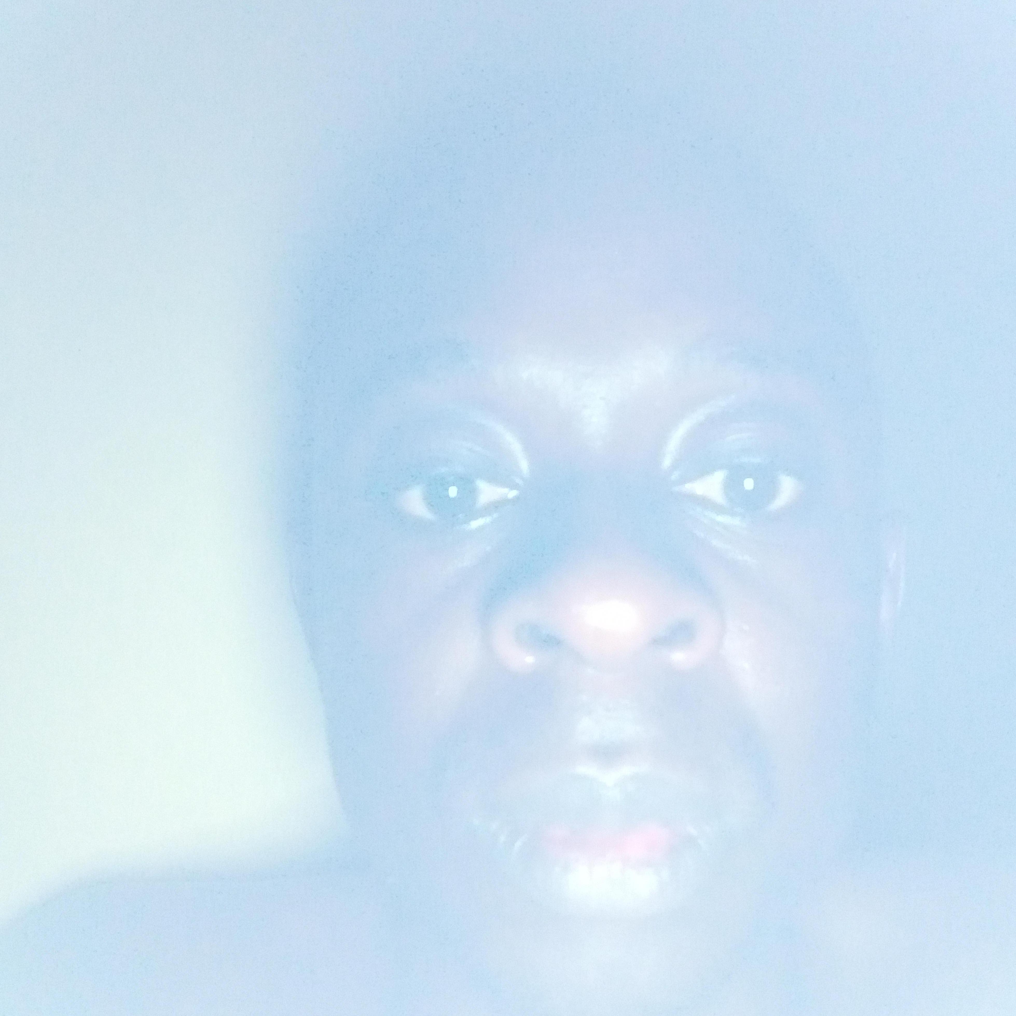 Igouba Martins